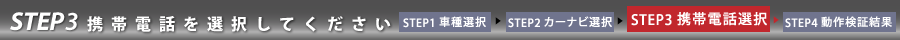 STEP3