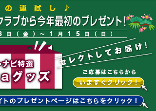 ナビ プレミアム インター クラブ リンク