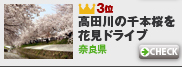 3月のシーニックルートMyコース登録ランキング3位：高田川の千本桜を花見ドライブ(奈良県)